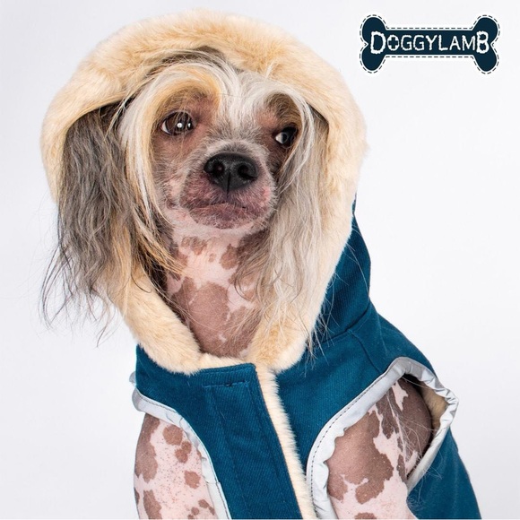 GUC doggylamb dog coat medium - frenchie or bulldog size. Recycled vegan soft